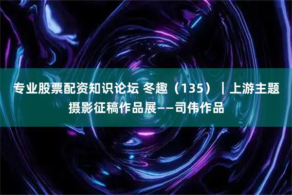 专业股票配资知识论坛 冬趣（135）｜上游主题摄影征稿作品展——司伟作品