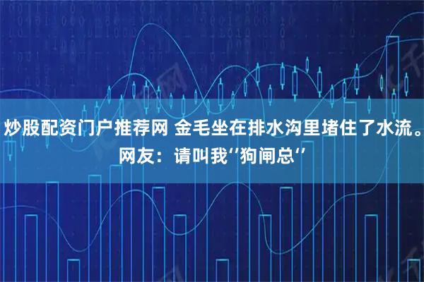 炒股配资门户推荐网 金毛坐在排水沟里堵住了水流。网友：请叫我‘’狗闸总‘’