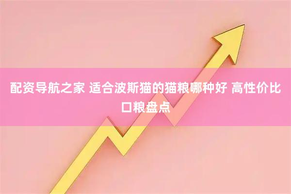 配资导航之家 适合波斯猫的猫粮哪种好 高性价比口粮盘点